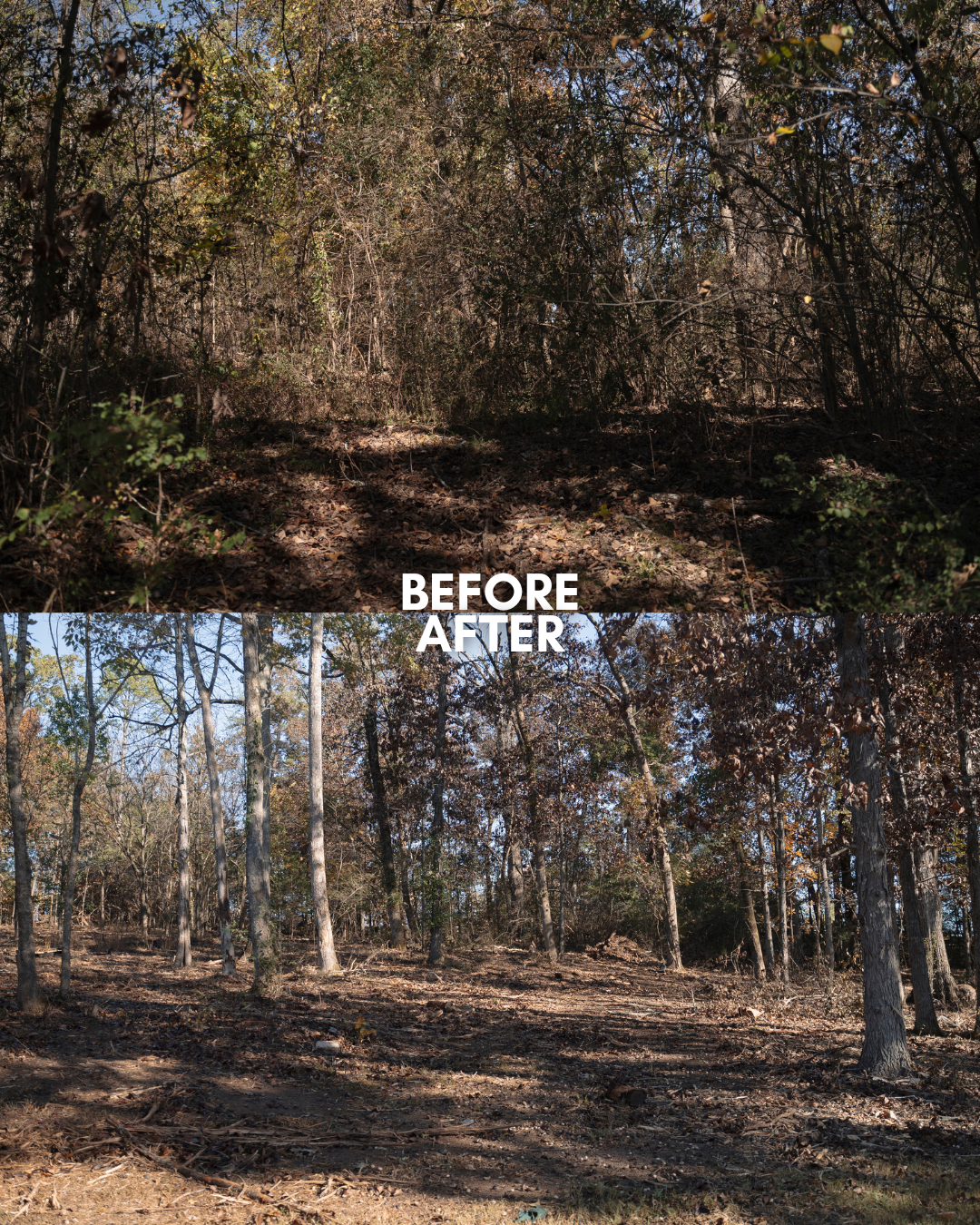Land clearing before and after transformation in Chattanooga TN